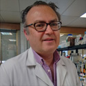 Rafael Salto